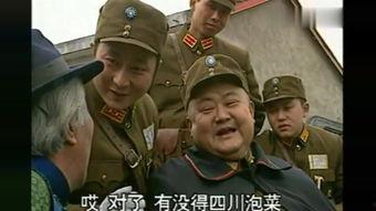 傻儿司令,传奇军魂的智慧与勇气