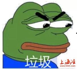 我的傻哥不简单,揭秘平凡中的非凡人生