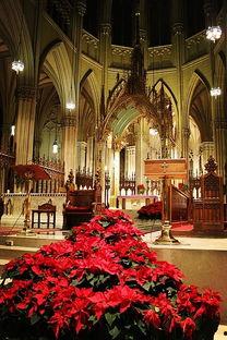 纽约圣诞婚礼,梦幻冬日，爱情绽放