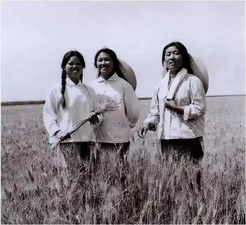 80知青重生护妻宠妹发家忙